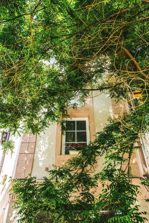 Historic Artcity Villa In Old Town 플로브디프 외부 사진